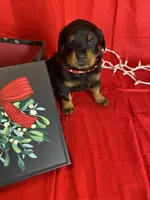 processed/396d717a-4959-45b4-955a-77dabea38d16/listing/0c852c68-6eba-413e-a342-4ee3bade670b/7b7d6303-582f-4345-a9fc-3ecc56238187