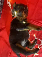 processed/396d717a-4959-45b4-955a-77dabea38d16/listing/0c852c68-6eba-413e-a342-4ee3bade670b/d06140a5-c13e-48e6-84eb-15cbe4785fff