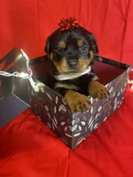 processed/396d717a-4959-45b4-955a-77dabea38d16/listing/28e55f94-191a-4e40-8b83-32bba163bd32/21caa79c-f777-471b-badc-0be2e4326cd4