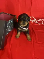 processed/396d717a-4959-45b4-955a-77dabea38d16/listing/28e55f94-191a-4e40-8b83-32bba163bd32/24a688b0-14dc-4b23-9663-add0d2dbf63c