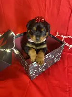 processed/396d717a-4959-45b4-955a-77dabea38d16/listing/28e55f94-191a-4e40-8b83-32bba163bd32/387d62d4-16c8-4951-afb6-fbecf730ace9