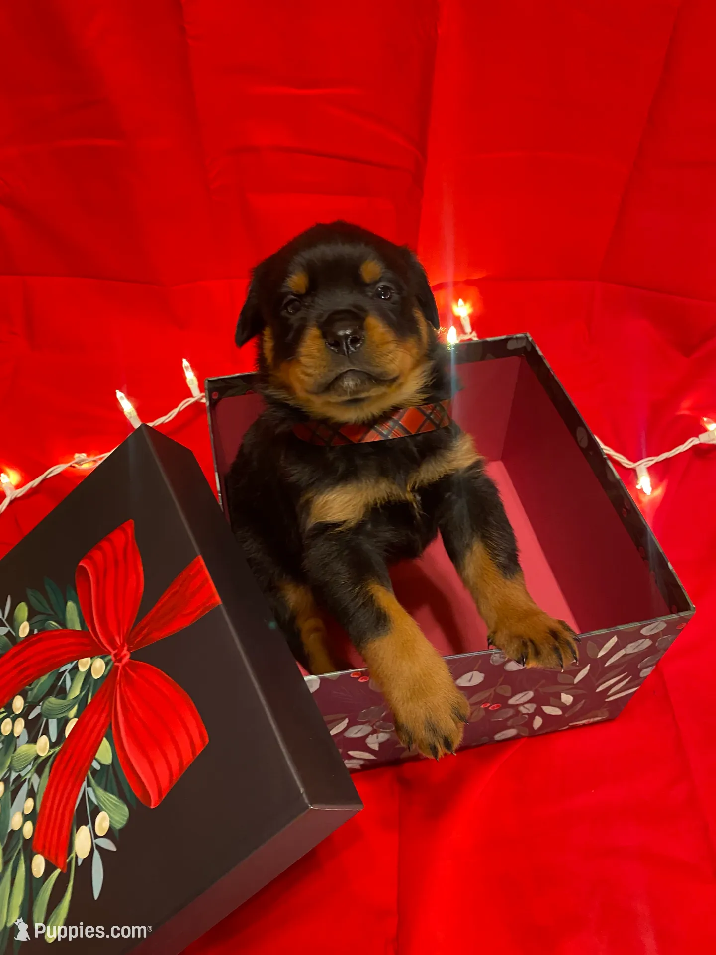 processed/396d717a-4959-45b4-955a-77dabea38d16/listing/6caf7a5b-d8a6-4e66-a5f4-ec41e4b1ad64/0593d96a-b461-49e2-b909-28f4049424b6