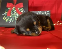 processed/396d717a-4959-45b4-955a-77dabea38d16/listing/6caf7a5b-d8a6-4e66-a5f4-ec41e4b1ad64/83365e27-9fa3-44cc-942b-b6e734a1974f