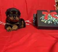 processed/396d717a-4959-45b4-955a-77dabea38d16/listing/6caf7a5b-d8a6-4e66-a5f4-ec41e4b1ad64/d2744ca9-7d16-4e36-923d-86e564c2cad3