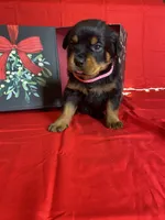 processed/396d717a-4959-45b4-955a-77dabea38d16/listing/89b507ce-2461-442e-bd13-5500893aa8d4/30b0a38f-d712-4755-811e-8f1915c2eed9