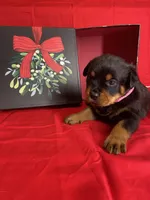 processed/396d717a-4959-45b4-955a-77dabea38d16/listing/89b507ce-2461-442e-bd13-5500893aa8d4/58e281a9-a030-4481-b048-e765dda7ed35