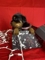 processed/396d717a-4959-45b4-955a-77dabea38d16/listing/89b507ce-2461-442e-bd13-5500893aa8d4/cc412327-9cf2-4b2d-959c-4e3bfa1438e6