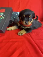 processed/396d717a-4959-45b4-955a-77dabea38d16/listing/8cfd2ef8-b156-4bf0-b68a-fe7cab4496fd/18ad959b-7900-4428-83af-82643a16f166