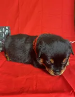 processed/396d717a-4959-45b4-955a-77dabea38d16/listing/8cfd2ef8-b156-4bf0-b68a-fe7cab4496fd/5479981b-4021-400f-bce9-4470e3b3fb2a