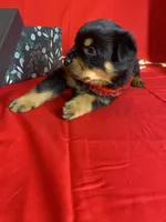 processed/396d717a-4959-45b4-955a-77dabea38d16/listing/8cfd2ef8-b156-4bf0-b68a-fe7cab4496fd/b808518d-ddfe-48a9-91e6-e35d5dc374b3