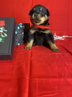 processed/396d717a-4959-45b4-955a-77dabea38d16/listing/8cfd2ef8-b156-4bf0-b68a-fe7cab4496fd/fee324fd-a350-4025-b032-cbc06a2661ed