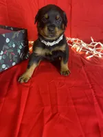 processed/396d717a-4959-45b4-955a-77dabea38d16/listing/d7fdc47f-b85f-4bdc-a70d-a904ebaae3c3/85f39323-49a8-4ad2-aba1-e7c372f1c5fd