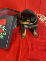 processed/396d717a-4959-45b4-955a-77dabea38d16/listing/d7fdc47f-b85f-4bdc-a70d-a904ebaae3c3/f0806904-fc3a-45c6-a300-3bb9f52eb376