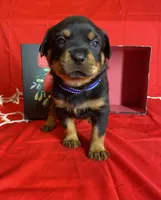 processed/396d717a-4959-45b4-955a-77dabea38d16/listing/f2cd941c-9c42-44bb-9bb0-2ca2fb08461b/1add7a29-db6c-4b2a-9cff-d090280c9c86