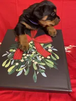 processed/396d717a-4959-45b4-955a-77dabea38d16/listing/f2cd941c-9c42-44bb-9bb0-2ca2fb08461b/6e1e6b3f-d1f2-4023-9dda-31e5dcefdd65