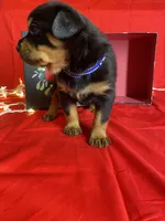 processed/396d717a-4959-45b4-955a-77dabea38d16/listing/f2cd941c-9c42-44bb-9bb0-2ca2fb08461b/c916dbc4-0eb1-497a-9855-95e7f439037d