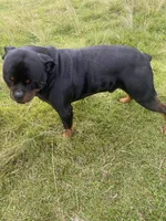 processed/396d717a-4959-45b4-955a-77dabea38d16/listing/f2cd941c-9c42-44bb-9bb0-2ca2fb08461b/dd69f4c4-f979-4b29-b7e5-7f71a9b96fd5