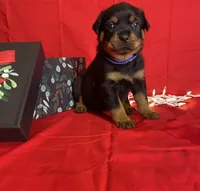 processed/396d717a-4959-45b4-955a-77dabea38d16/listing/f2cd941c-9c42-44bb-9bb0-2ca2fb08461b/face69de-5c2a-4f7a-84f7-cfff05d5754c