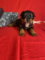 processed/396d717a-4959-45b4-955a-77dabea38d16/listing/f57626a5-e5ad-4545-b451-8e2221f28729/306e23a7-0fe6-4ca3-b0fa-f1ca09cd93a7