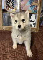 processed/397b0896-9411-455c-a35e-dba824e8236d/listing/065506e5-b012-47d3-98a7-8bb60449a28b/aeab4399-97a6-44a6-b661-899aa49612e6