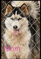 processed/397b0896-9411-455c-a35e-dba824e8236d/listing/3a70aa4a-2fc2-4ac9-b6db-f3108c4751c7/82369f80-5bd4-4322-bfe0-7892b4a75ca6