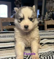 processed/397b0896-9411-455c-a35e-dba824e8236d/listing/3a70aa4a-2fc2-4ac9-b6db-f3108c4751c7/cd82976d-4ce2-465d-8bca-e80d02abc0fb