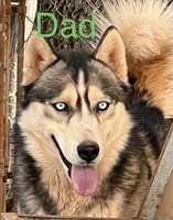 processed/397b0896-9411-455c-a35e-dba824e8236d/listing/7dbea808-a710-495a-af49-0581caf31f0c/384ba2c2-0b11-4185-993f-8ba6f948ca32