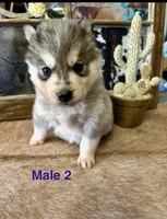 processed/397b0896-9411-455c-a35e-dba824e8236d/listing/d66a292a-4990-43d6-88ee-baf39fede270/6bb5ef55-9a6c-4b7a-8ed5-21aeb4d84c6d