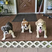 processed/398af90c-2a65-469e-9c2b-895ccc2ebc21/facility/e72e848c-4001-4e1e-b2bc-1f539c738715