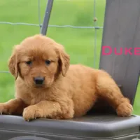 processed/398bd4e3-b9ac-46ab-b7b1-e404a66c5161/facility/06dfb470-30cb-4de4-82f0-db09bf2ab7af