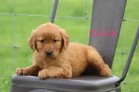 processed/398bd4e3-b9ac-46ab-b7b1-e404a66c5161/facility/06dfb470-30cb-4de4-82f0-db09bf2ab7af