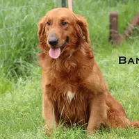 processed/398bd4e3-b9ac-46ab-b7b1-e404a66c5161/facility/0a42143d-1d11-4372-a6c5-29fa5fa6b876