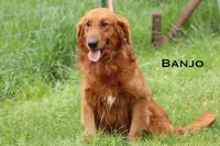 processed/398bd4e3-b9ac-46ab-b7b1-e404a66c5161/facility/0a42143d-1d11-4372-a6c5-29fa5fa6b876