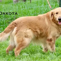 processed/398bd4e3-b9ac-46ab-b7b1-e404a66c5161/facility/4a222a08-6939-4f48-b975-49b91eeaae67