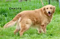 processed/398bd4e3-b9ac-46ab-b7b1-e404a66c5161/facility/4a222a08-6939-4f48-b975-49b91eeaae67