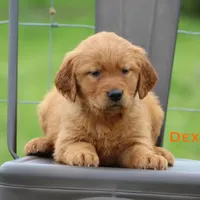 processed/398bd4e3-b9ac-46ab-b7b1-e404a66c5161/facility/51ac38e0-aa47-4ec2-86bc-97ba07fa9a98