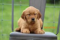 processed/398bd4e3-b9ac-46ab-b7b1-e404a66c5161/facility/51ac38e0-aa47-4ec2-86bc-97ba07fa9a98