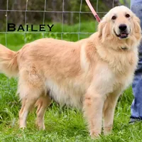 processed/398bd4e3-b9ac-46ab-b7b1-e404a66c5161/facility/67c2f194-5ce4-4c77-ae2d-c58c206d6838