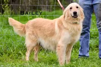 processed/398bd4e3-b9ac-46ab-b7b1-e404a66c5161/facility/67c2f194-5ce4-4c77-ae2d-c58c206d6838