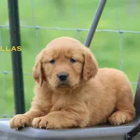 processed/398bd4e3-b9ac-46ab-b7b1-e404a66c5161/facility/718291e0-bb66-4cb9-8762-b6cdb95c8c11