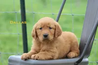 processed/398bd4e3-b9ac-46ab-b7b1-e404a66c5161/facility/718291e0-bb66-4cb9-8762-b6cdb95c8c11