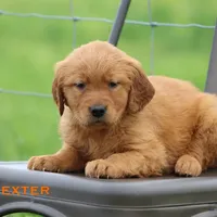 processed/398bd4e3-b9ac-46ab-b7b1-e404a66c5161/facility/983b22db-d19e-4c33-aeaa-47ed1d0c4769