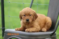 processed/398bd4e3-b9ac-46ab-b7b1-e404a66c5161/facility/983b22db-d19e-4c33-aeaa-47ed1d0c4769