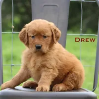 processed/398bd4e3-b9ac-46ab-b7b1-e404a66c5161/facility/b4af1e3a-fdfa-47f6-9a0e-13a69b11d0fd