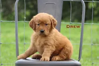 processed/398bd4e3-b9ac-46ab-b7b1-e404a66c5161/facility/b4af1e3a-fdfa-47f6-9a0e-13a69b11d0fd