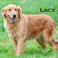 processed/398bd4e3-b9ac-46ab-b7b1-e404a66c5161/facility/c0c87757-ab8e-416d-bc5d-fc111eaafd17