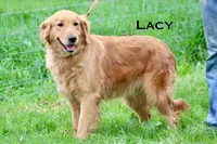 processed/398bd4e3-b9ac-46ab-b7b1-e404a66c5161/facility/c0c87757-ab8e-416d-bc5d-fc111eaafd17