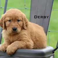 processed/398bd4e3-b9ac-46ab-b7b1-e404a66c5161/facility/eef1eba5-f740-45ab-b9fd-94f114e066f3