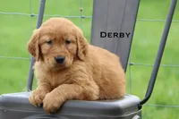 processed/398bd4e3-b9ac-46ab-b7b1-e404a66c5161/facility/eef1eba5-f740-45ab-b9fd-94f114e066f3