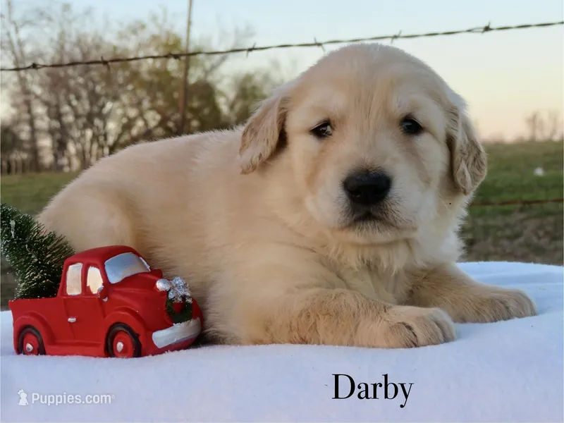 Darby